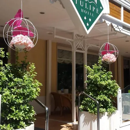 Tulipe Nazionale 3*