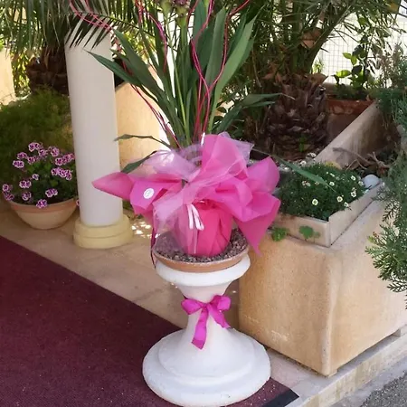 Hotell Tulipe Nazionale Riccione