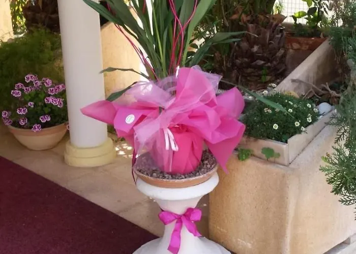 Hotel Tulipe Nazionale Riccione